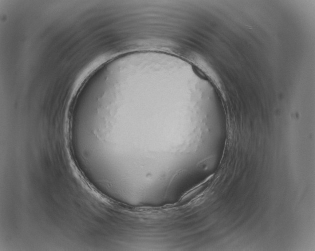 X0000084551096200703091713