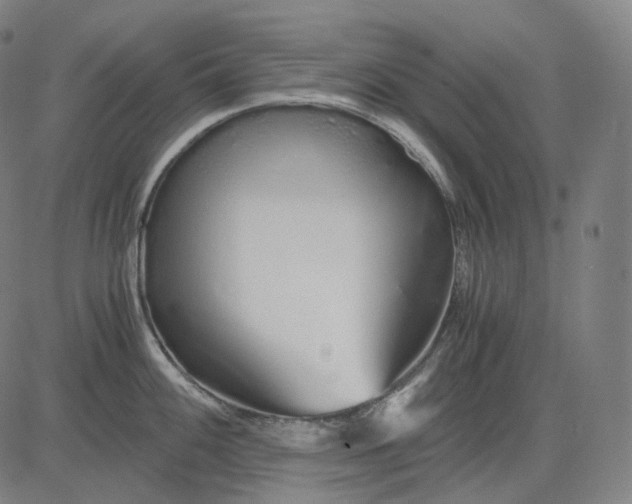 X0000084551100200703091713