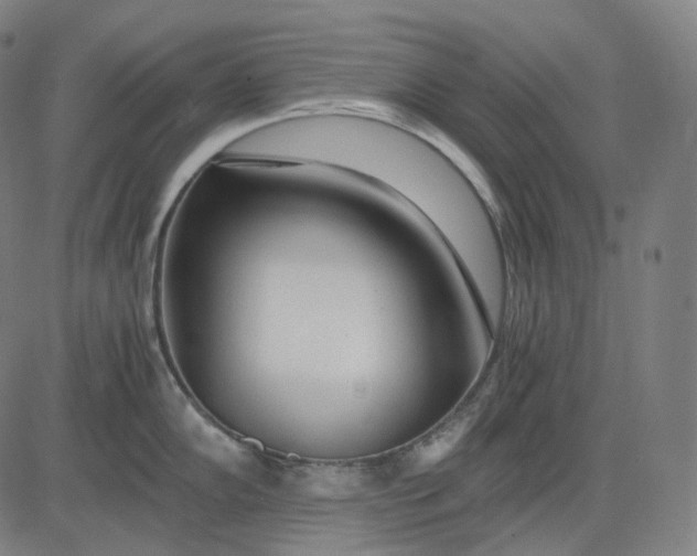 X0000084551102200703091713