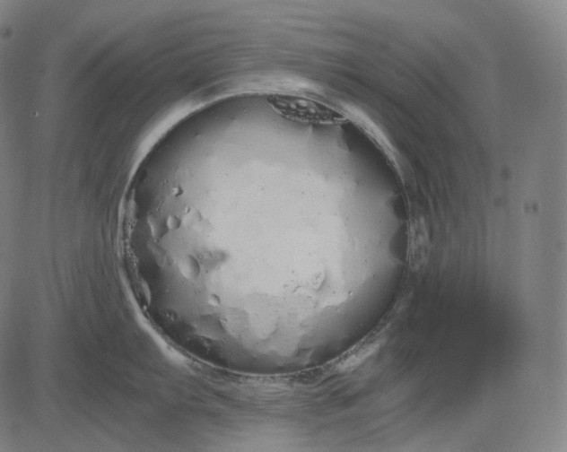 X0000084551103200703091713