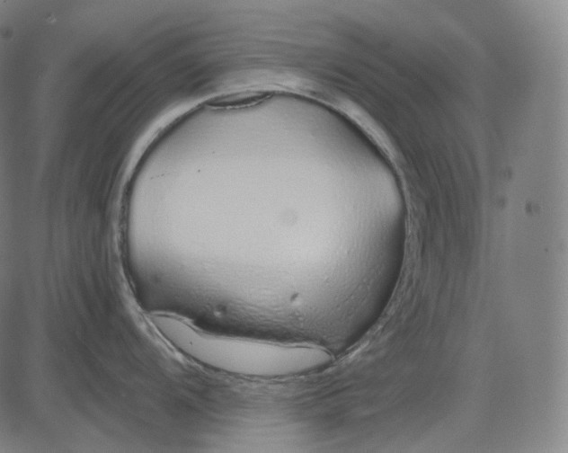 X0000084551104200703091713