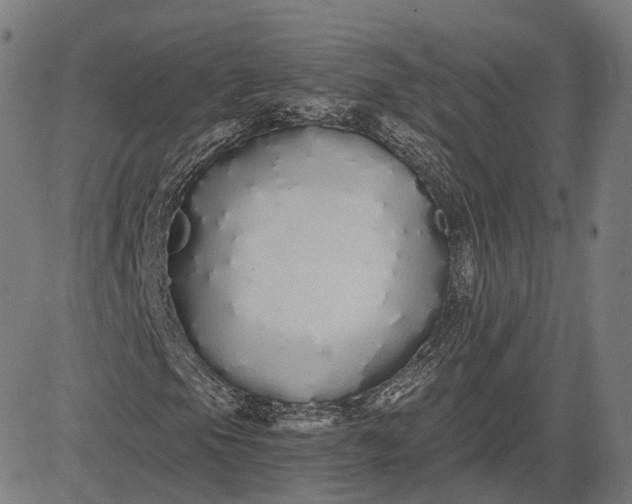 X0000084551105200703091712