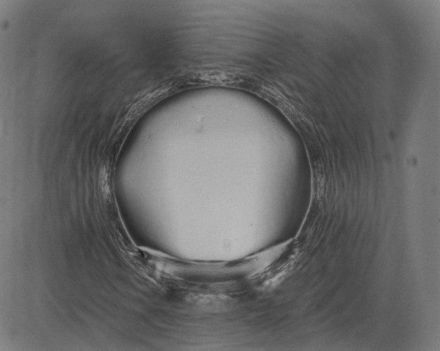 X0000084551106200703091712