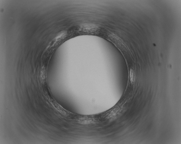 X0000084551107200703091712