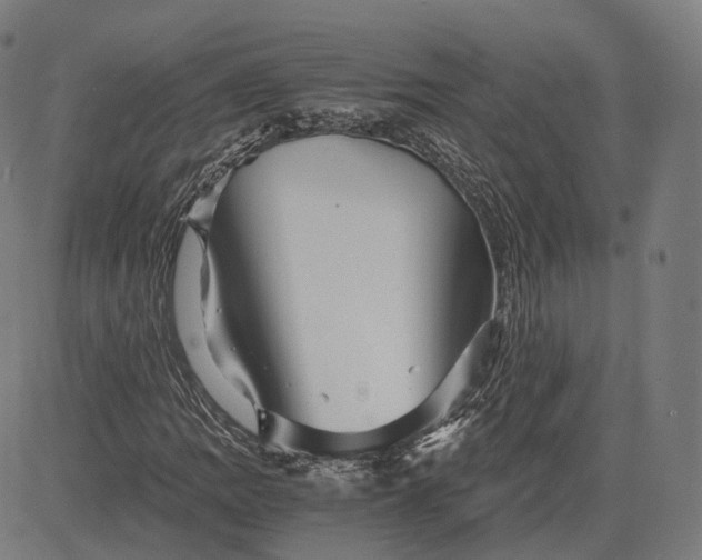 X0000084551109200703091712