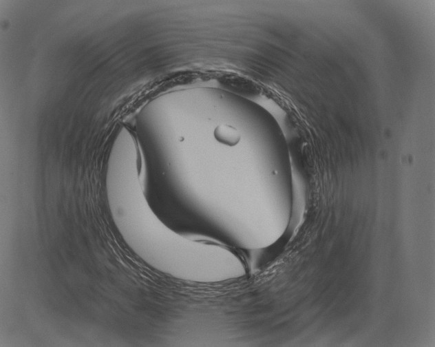 X0000084551110200703091712