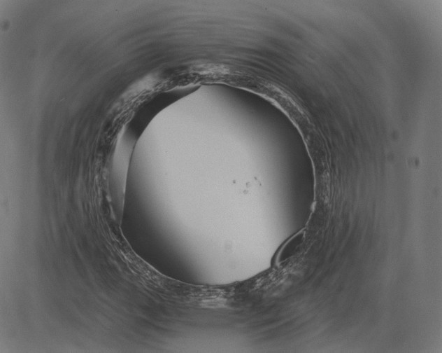 X0000084551111200703091712