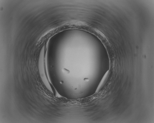 X0000084551112200703091712