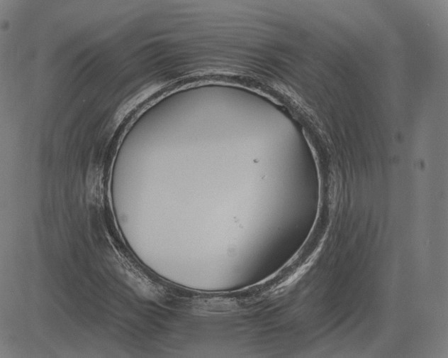 X0000084551113200703091712