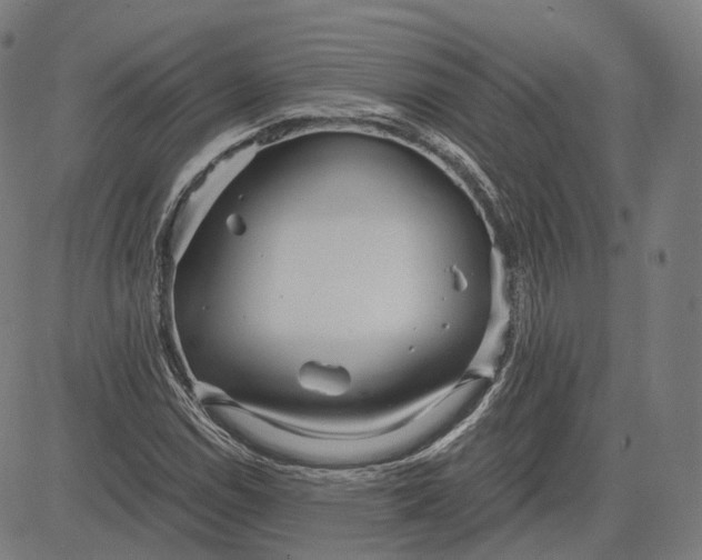 X0000084551114200703091712