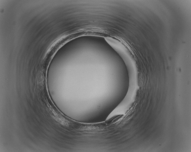 X0000084551115200703091712