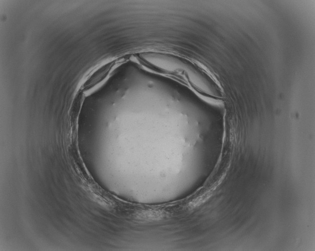 X0000084551117200703091712