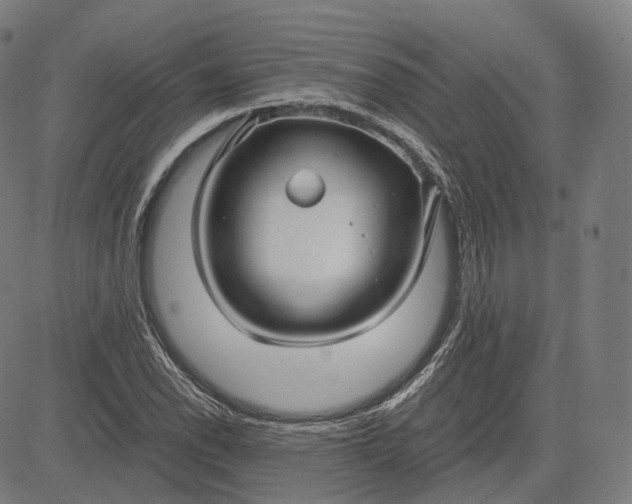 X0000084551118200703091712