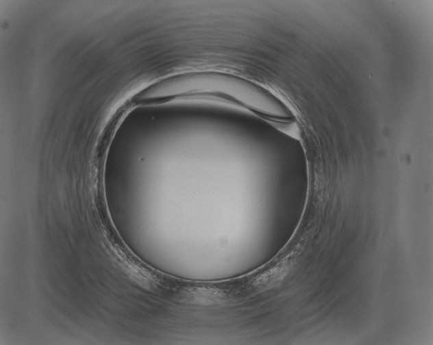 X0000084551119200703091712