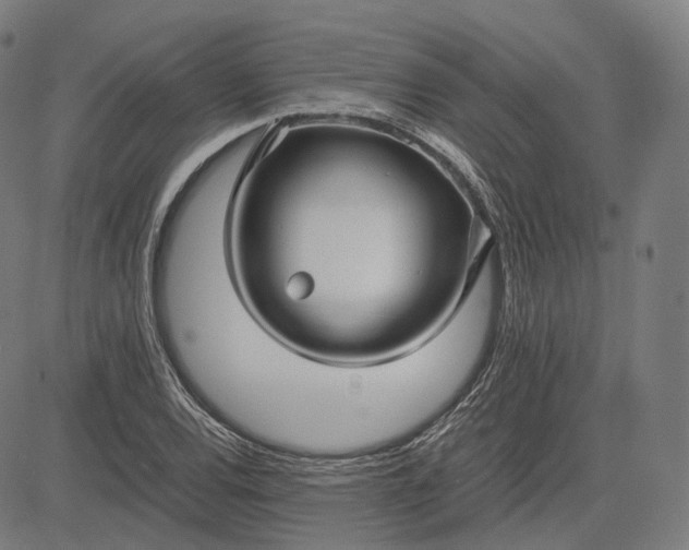 X0000084551120200703091712