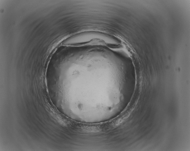 X0000084551121200703091712