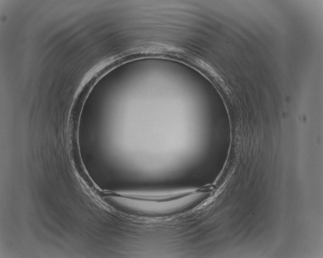 X0000084551122200703091712