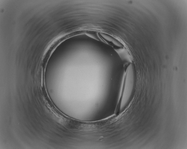 X0000084551123200703091712