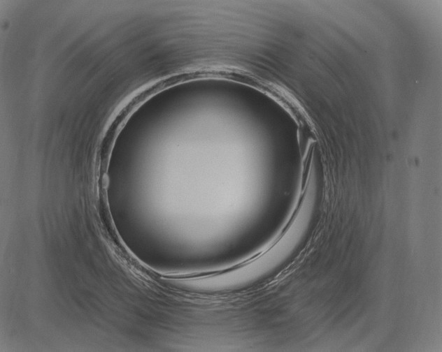 X0000084551124200703091712