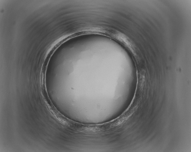 X0000084551125200703091712