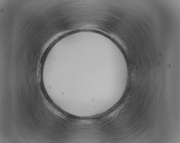 X0000084551126200703091712