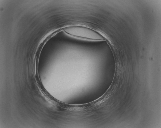 X0000084551127200703091712