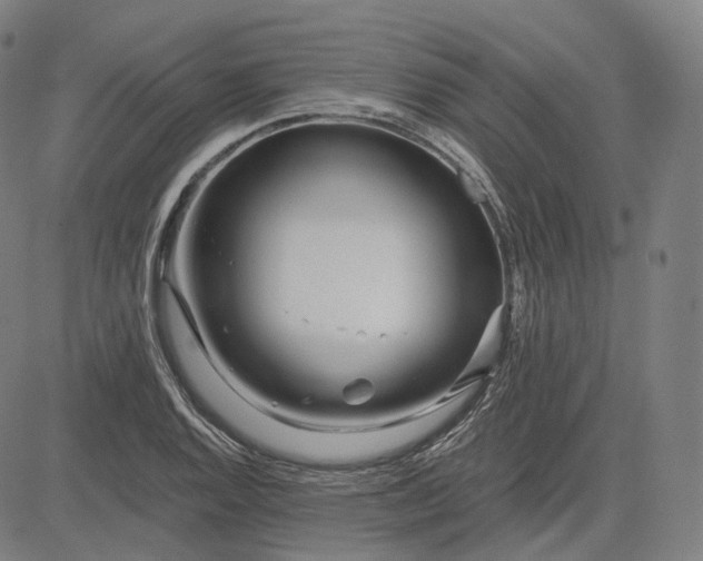 X0000084551128200703091712