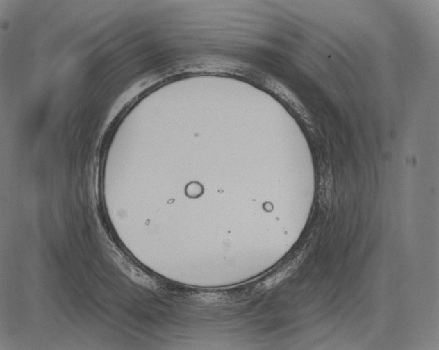 X0000084551130200703091712