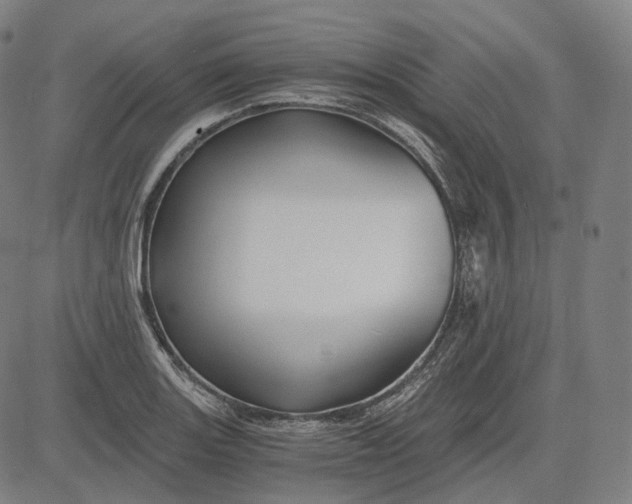 X0000084551131200703091712