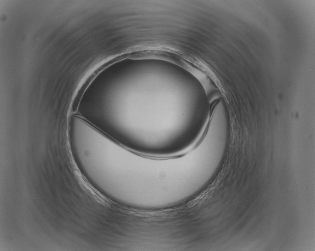 X0000084551132200703091712