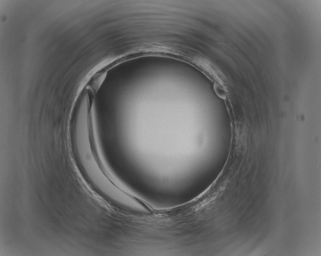 X0000084551133200703091712