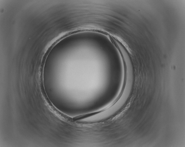 X0000084551134200703091712