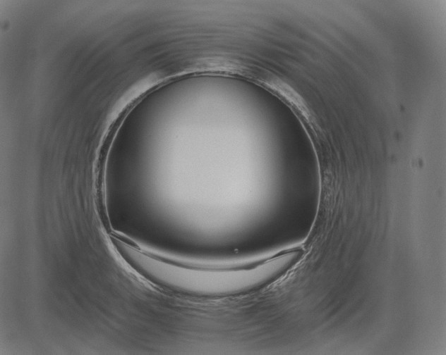 X0000084551135200703091712