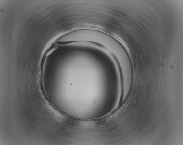 X0000084551136200703091713