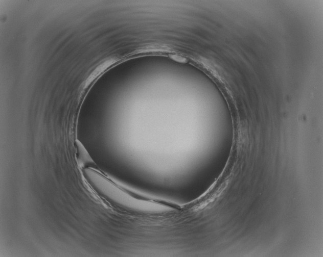 X0000084551137200703091713