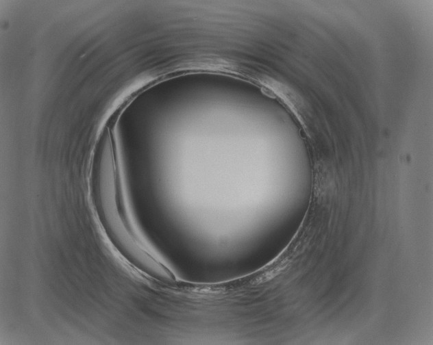 X0000084551139200703091713