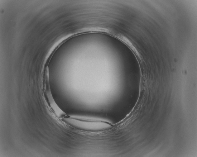 X0000084551140200703091713