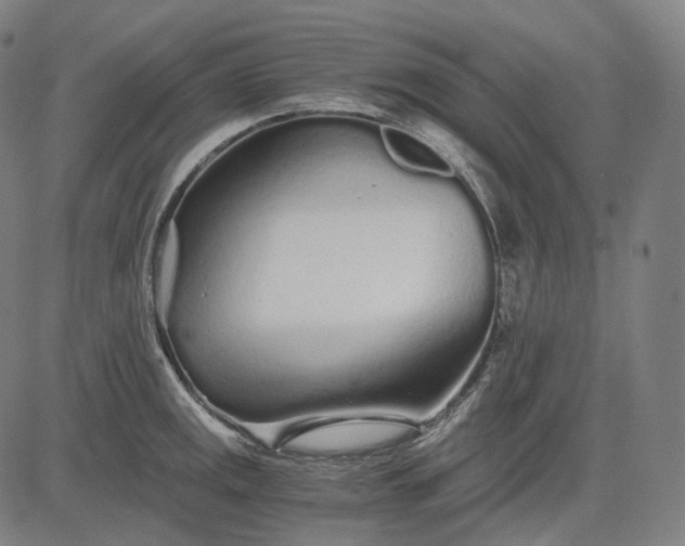 X0000084551141200703091713