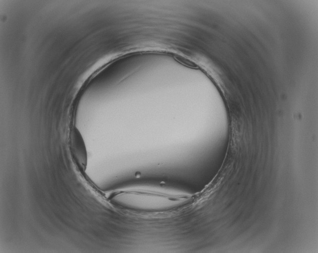 X0000084551142200703091713