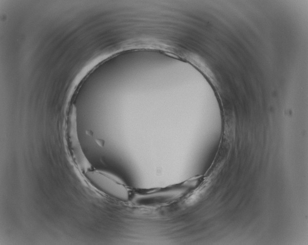 X0000084551144200703091713