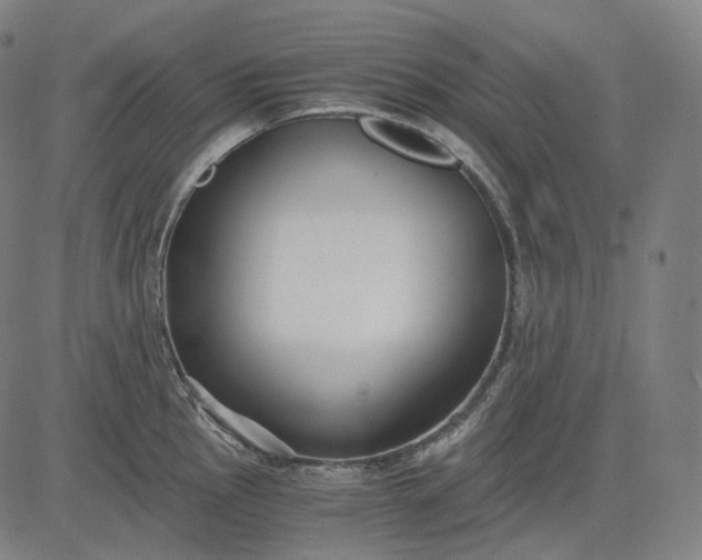 X0000084551145200703091713