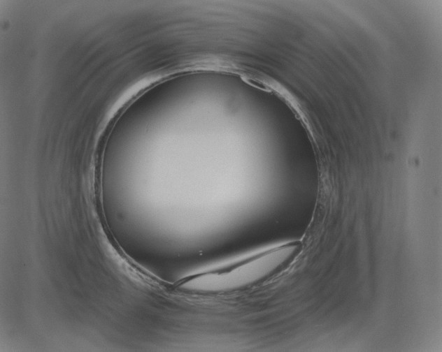 X0000084551147200703091713