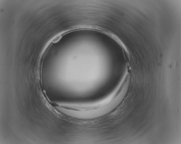 X0000084551148200703091713