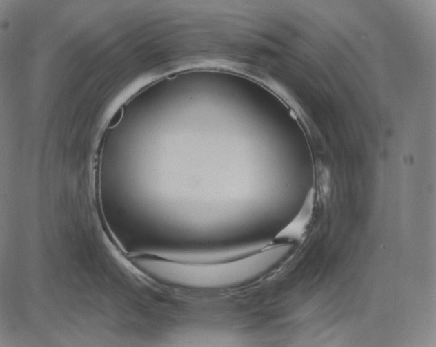 X0000084551151200703091713