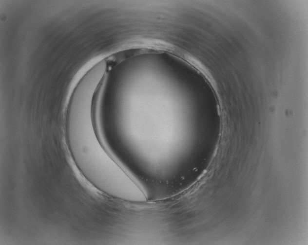 X0000084551152200703091713