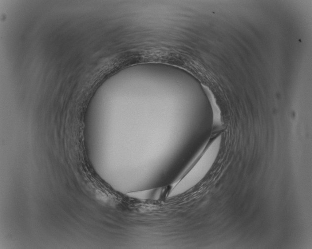 X0000084551153200703091712