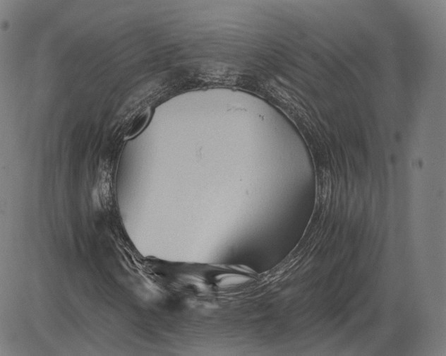 X0000084551154200703091712