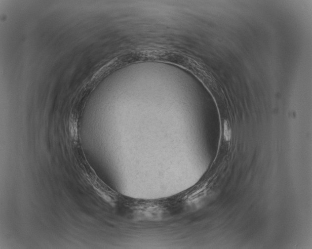 X0000084551155200703091712