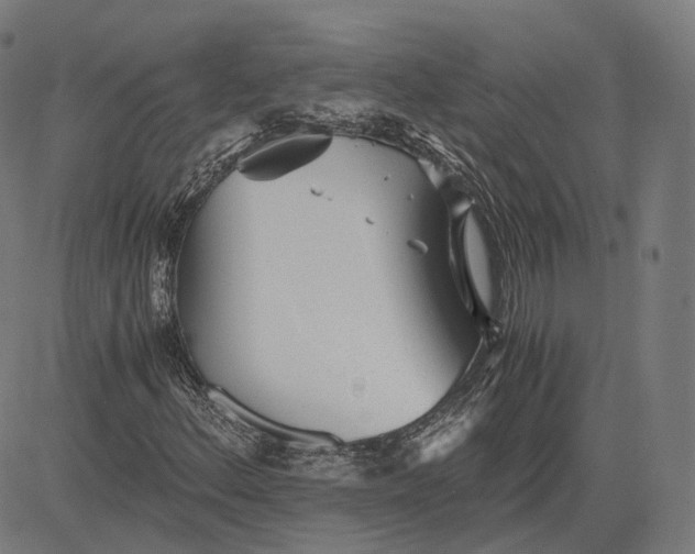 X0000084551156200703091712