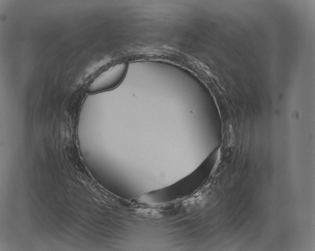 X0000084551158200703091712